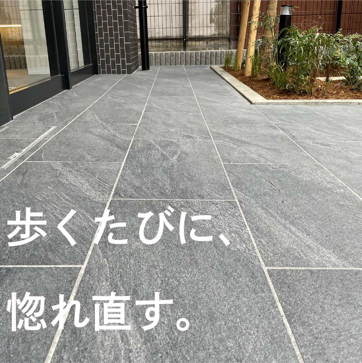 フローレス