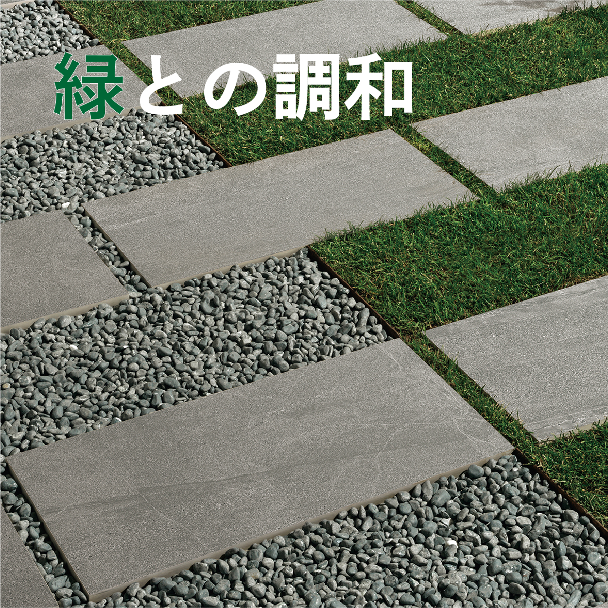 ティエラ