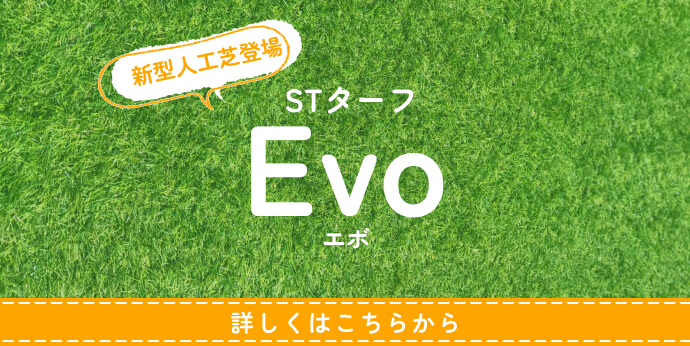STターフ