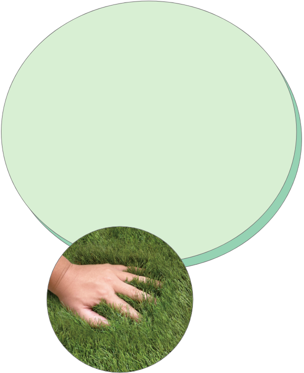 content_01