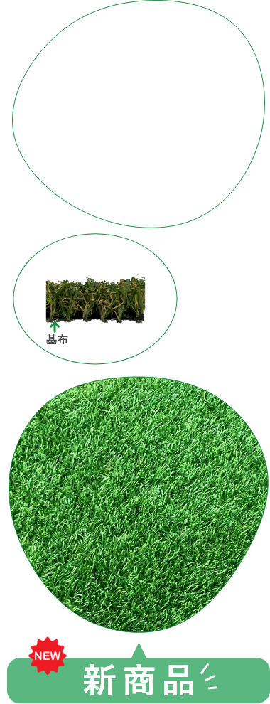 画像3sp
